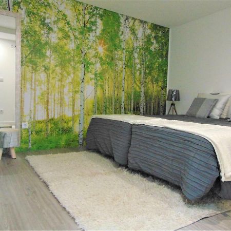 Casa Da Fonte Apartment Tarouca ภายนอก รูปภาพ